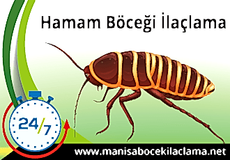 Hamam Böceği İlaçlama