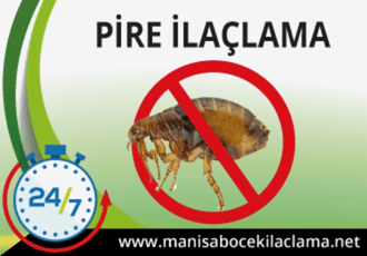Pire İlaçlama