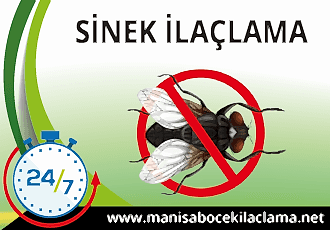 Sinek İlaçlama