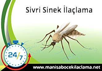 Sivrisinek İlaçlama