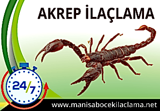 Akrep İlaçlama
