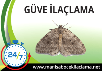 Güve İlaçlama