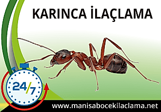 Karınca İlaçlama