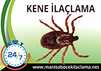 Kene İlaçlama