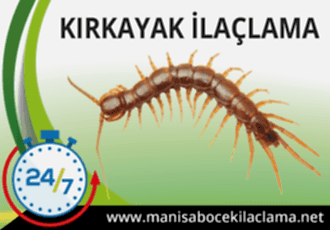 Kırkayak İlaçlama