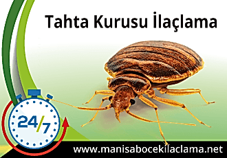 Tahta Kurusu İlaçlama