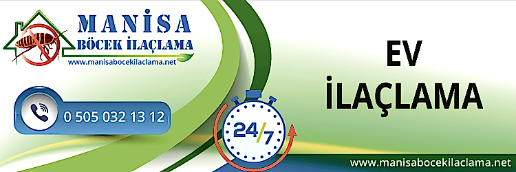 Ev İlaçlama